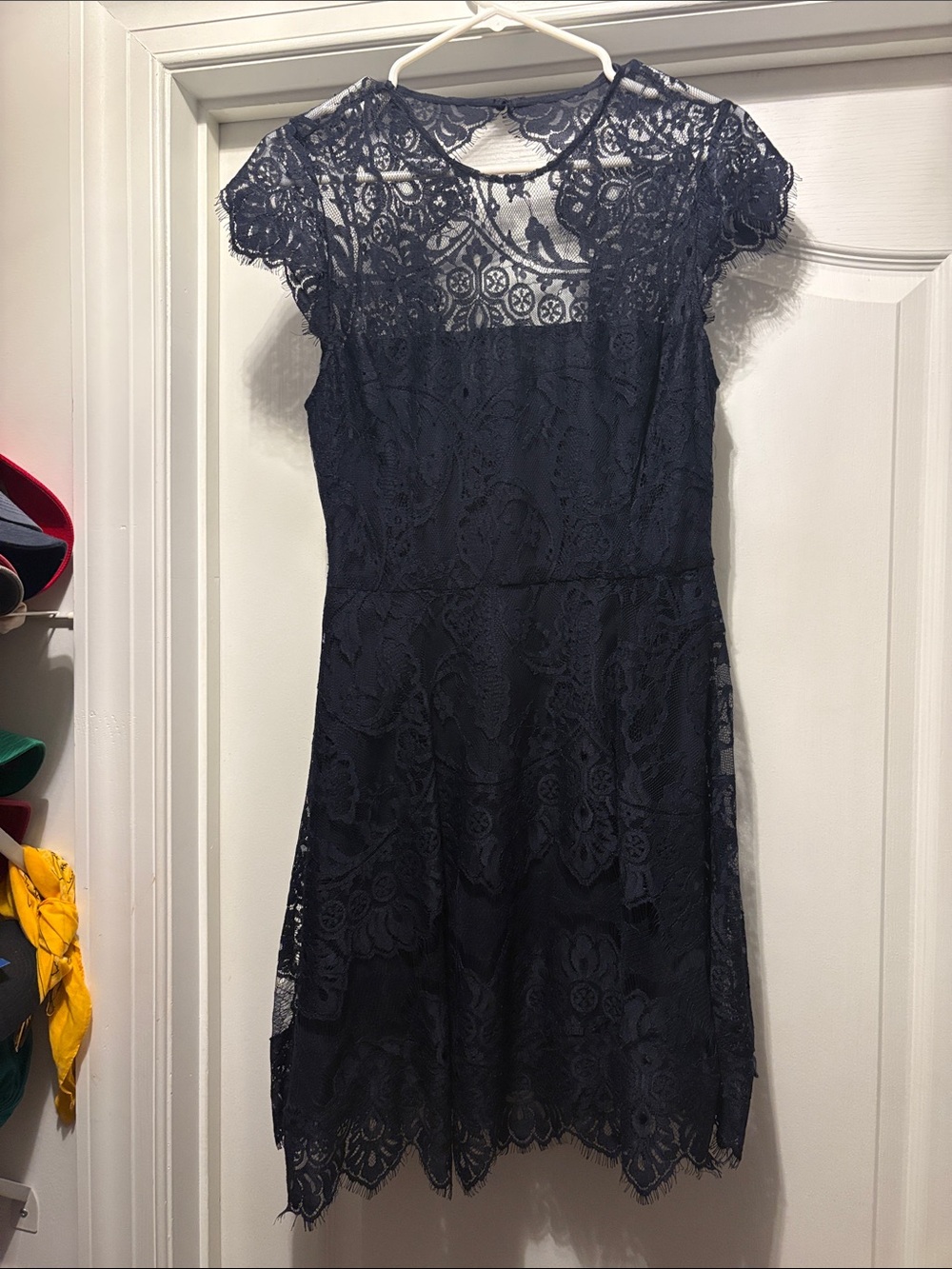 Classic Navy Lace Cap-Sleeve Dress BB Dakota Jayce Lace Size 8